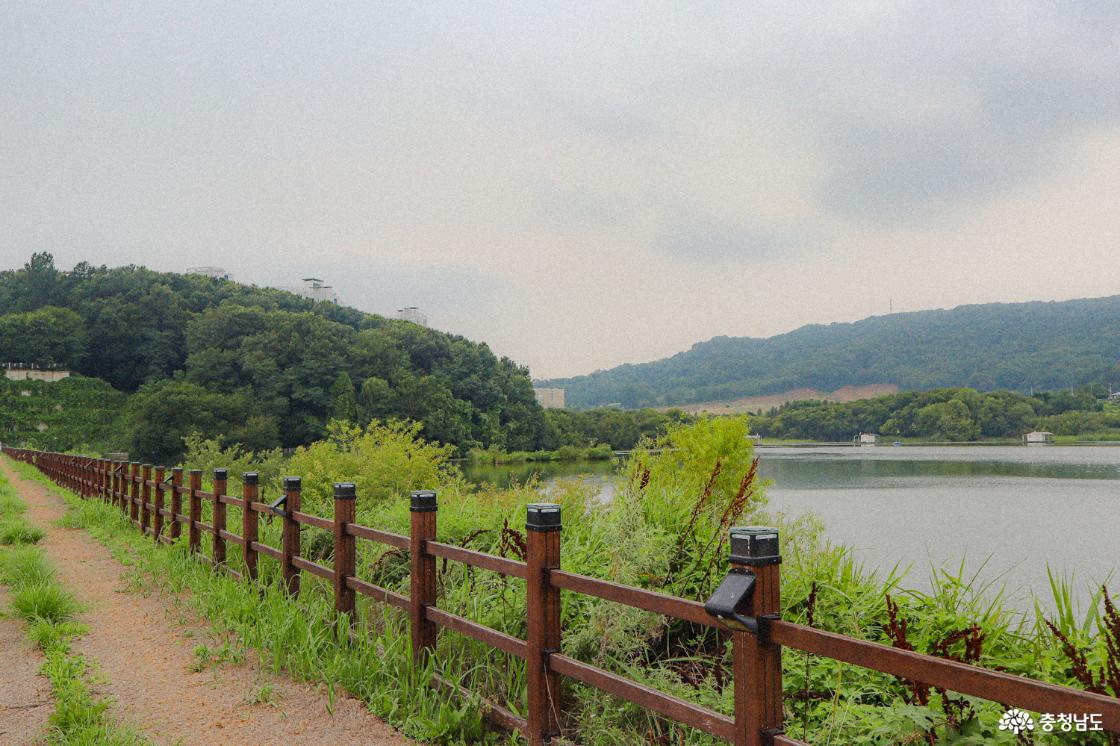 월랑저수지