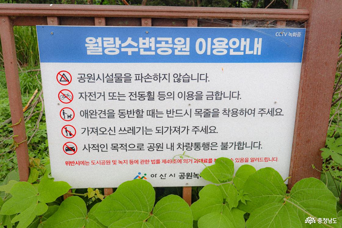 월랑저수지 안내문