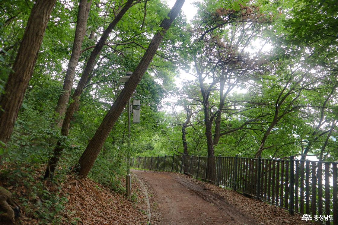 월랑저수지 산책로