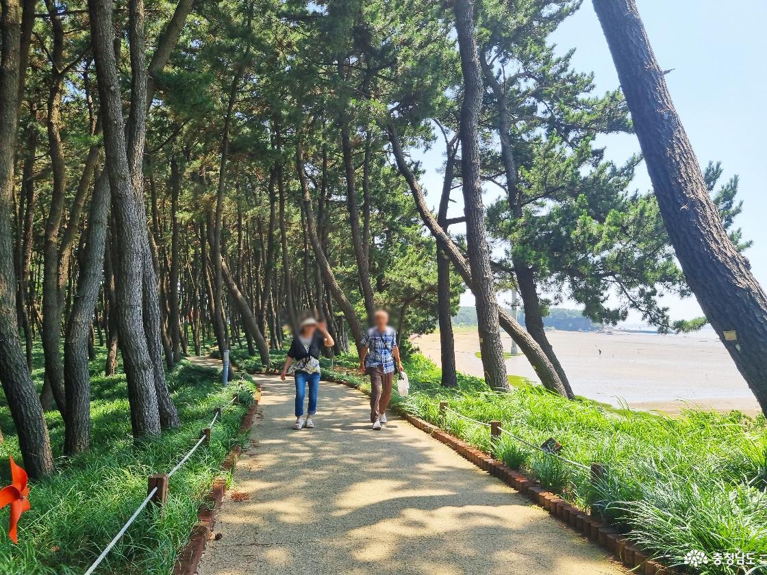 장항 송림자연휴양림 산책로