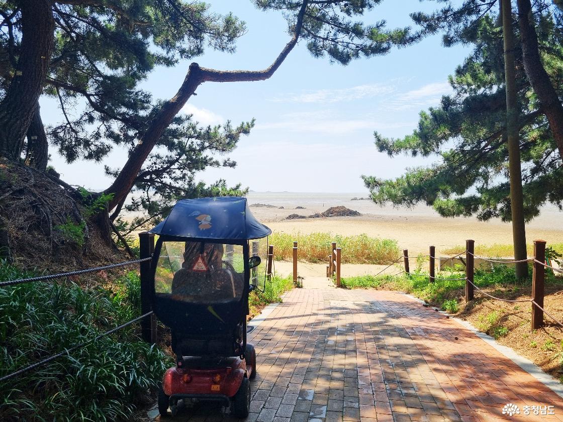 장항 송림자연휴양림 산책로