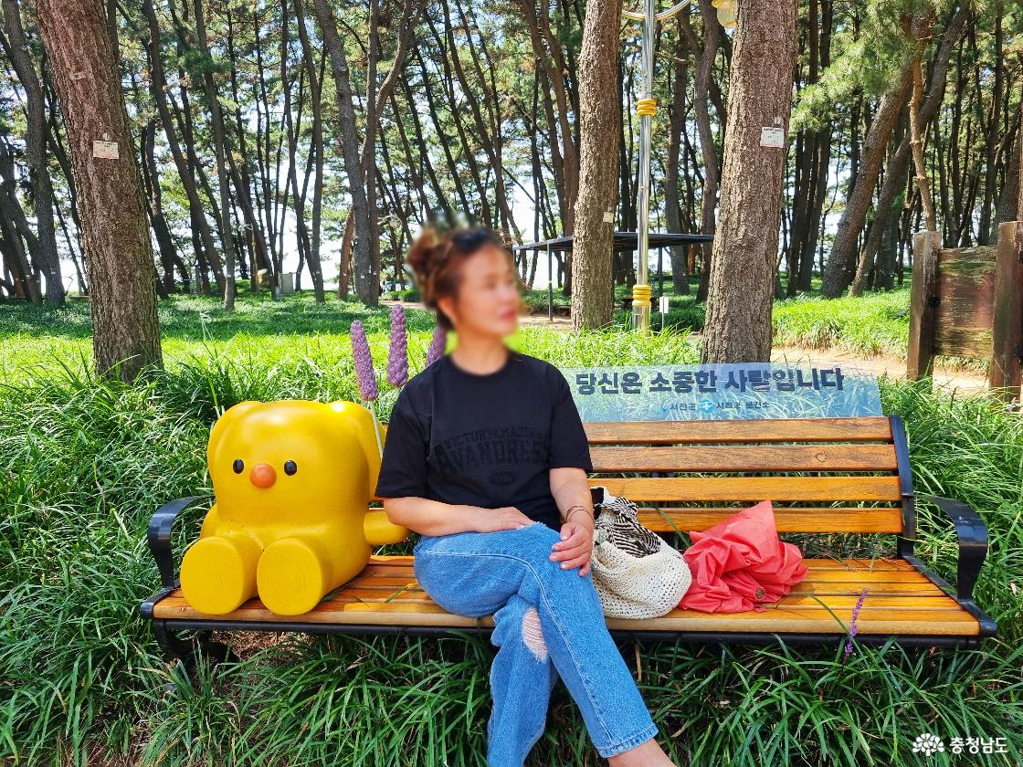 장항 송림자연휴양림 산책로
