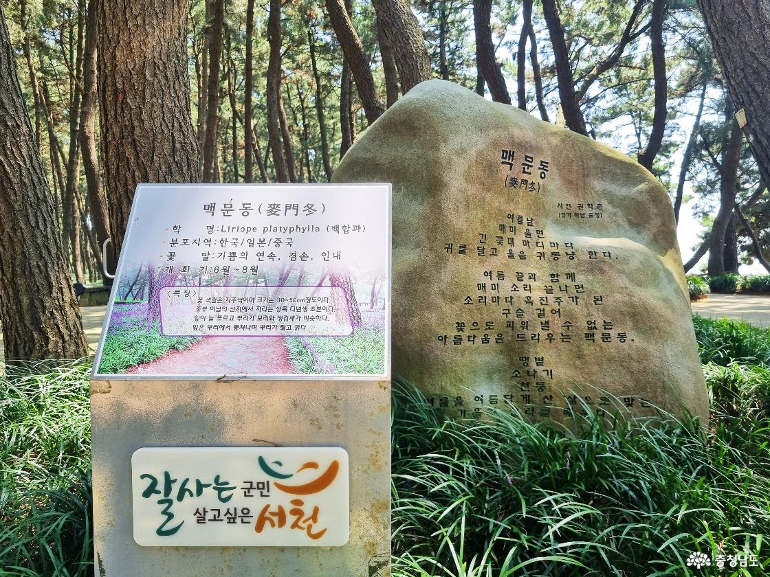 장항 송림자연휴양림 산책로