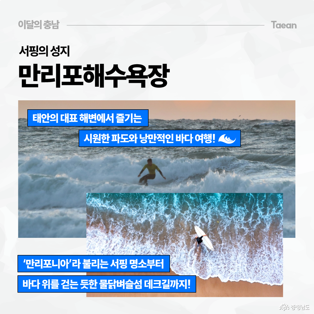 태안 만리포해수욕장을 소개하는 이미지로, 거친 파도 속에서 서핑하는 사람과 해변 위를 내려다본 서퍼 사진이 함께 배치되어 있습니다. 상단에는 &ldquo;서핑의 성지 만리포해수욕장&rdquo;이라는 제목이 있고, 파란 문구 박스에는 태안의 대표 해변에서 시원한 파도와 낭만적인 바다 여행을 즐길 수 있다고 적혀 있습니다. 하단에는 &lsquo;만리포니아&rsquo;로 불리는 서핑 명소와 물닭벼슬섬 데크길도 함께 소개되어 있습니다.