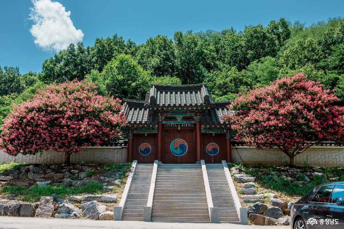아산 가볼만한곳 모선사와 아산만 스냅사진 명소