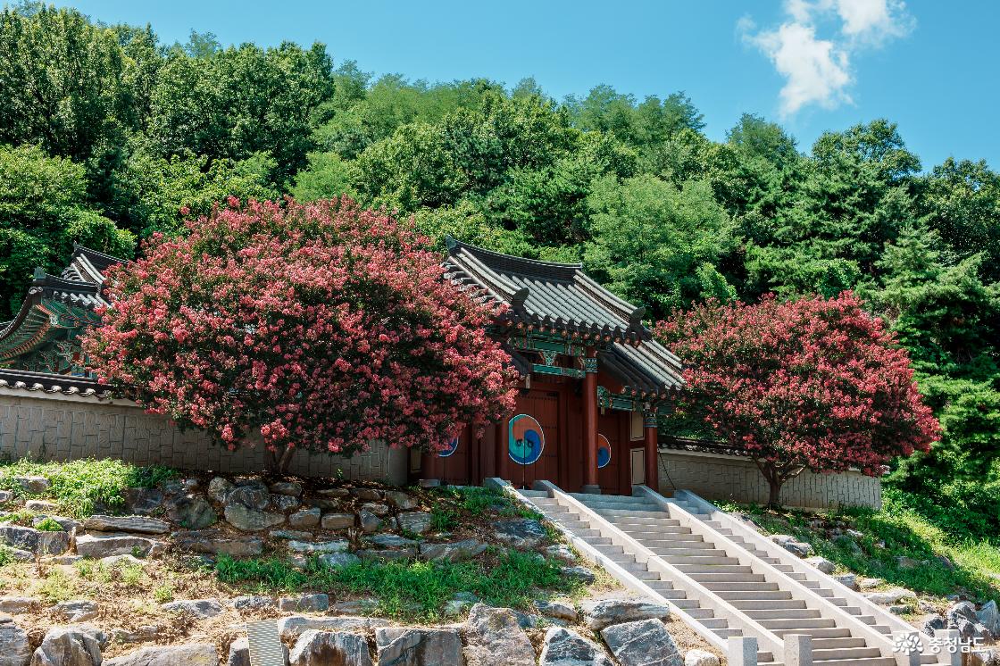 아산 가볼만한곳 모선사와 아산만 스냅사진 명소