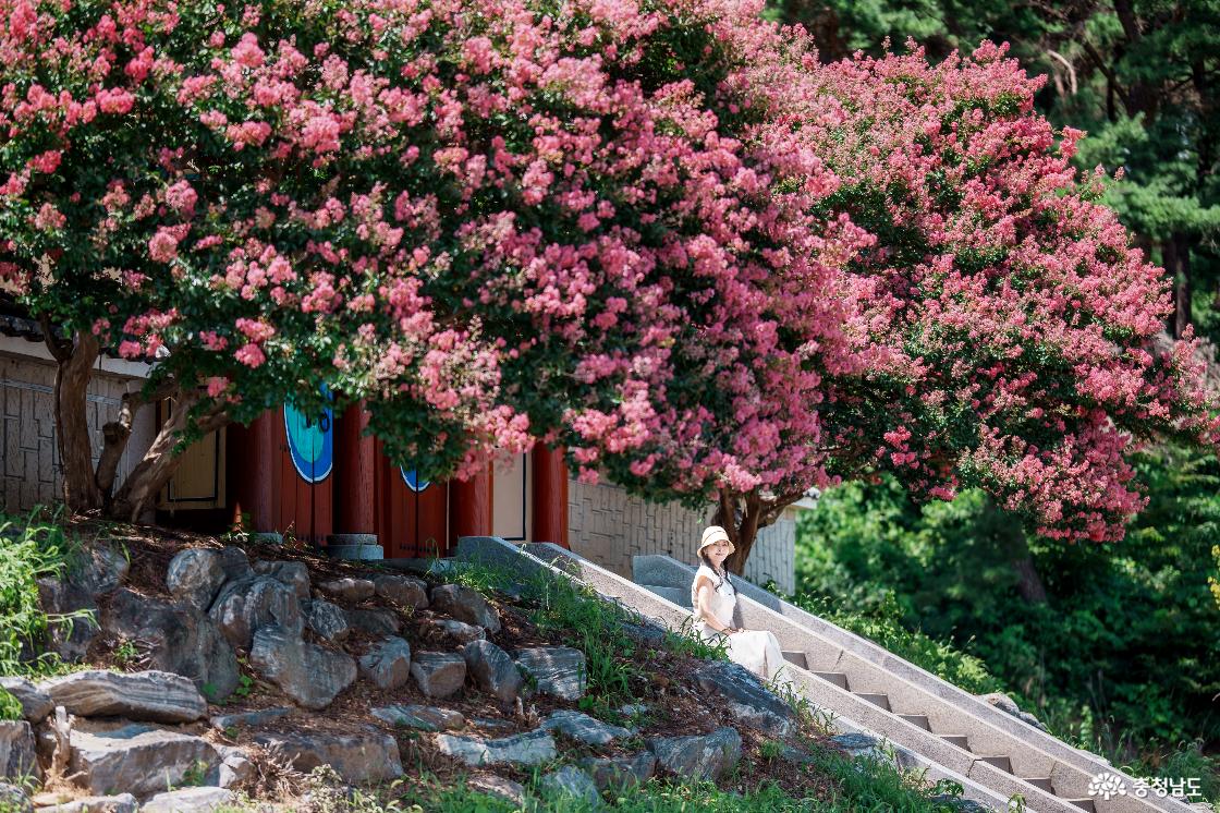 아산 가볼만한곳 모선사와 아산만 스냅사진 명소