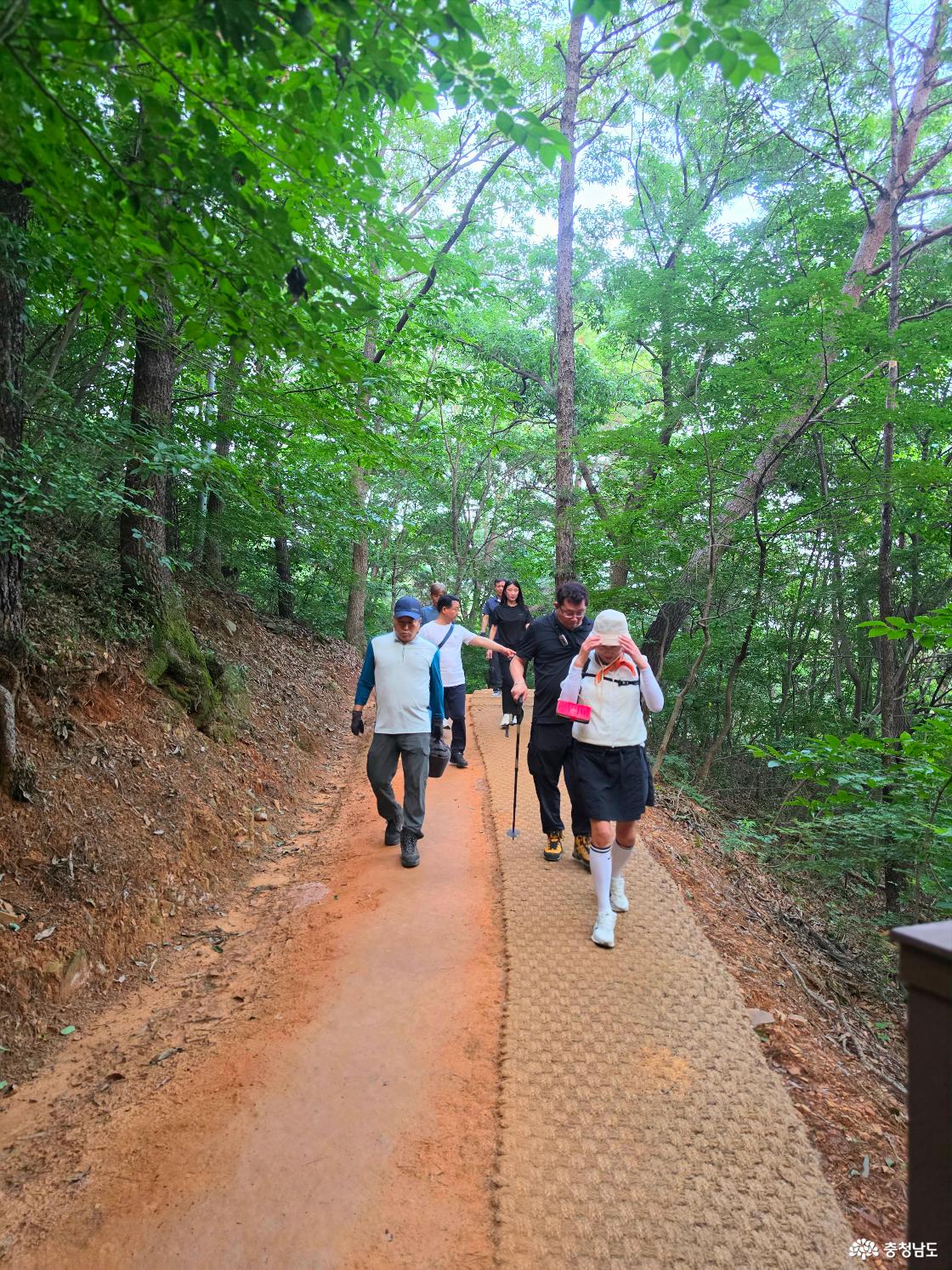 서산 부춘산에 만들어진 황톳길