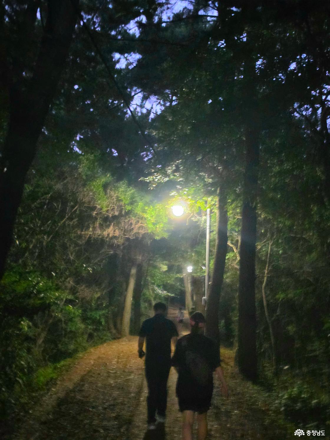 불 켜진 부춘산