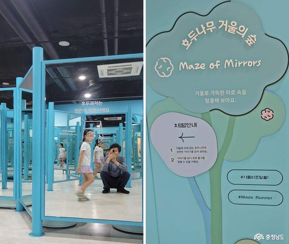 호두나무거울 숲, 미로 탐험