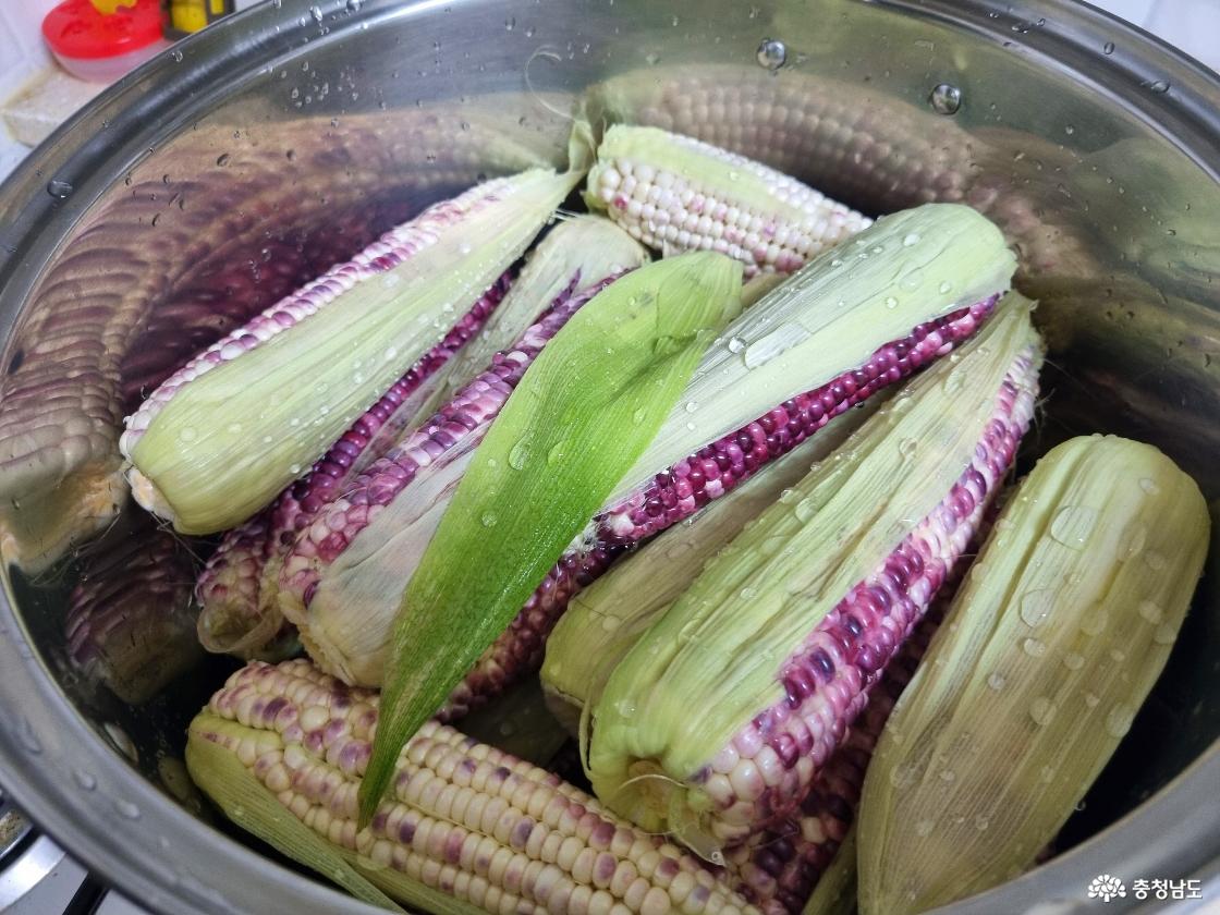 공주 오일장, 여름 간식 옥수수