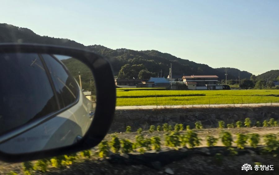 논산 성주도씨종중 가는 길