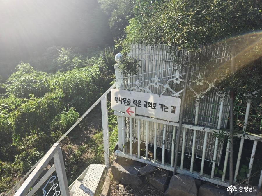 김종범 사진문화관 대나무숲 가는 길