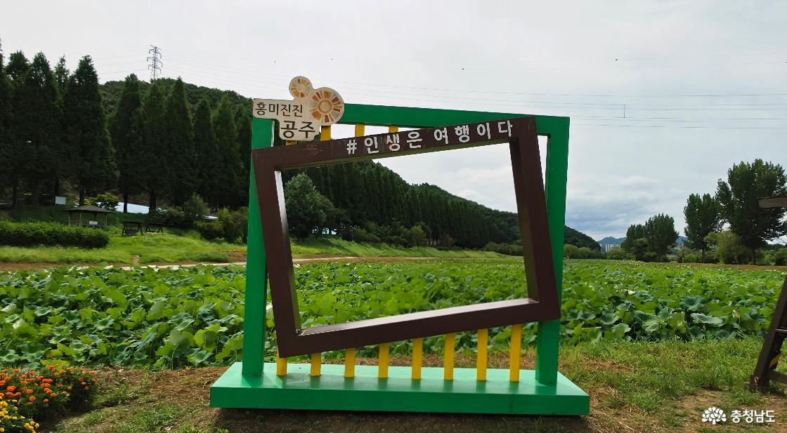 포토존