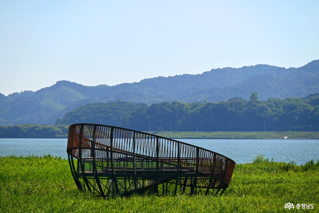 서천 신성리 갈대밭