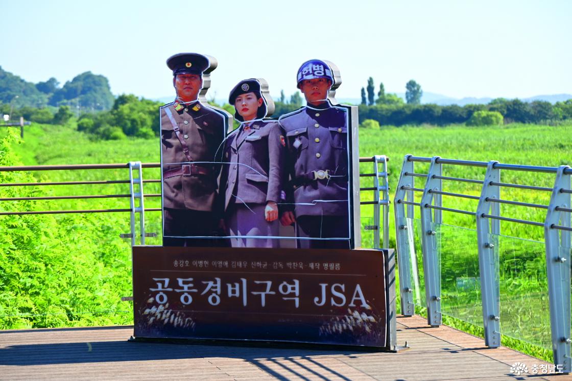 서천 신성리 갈대밭