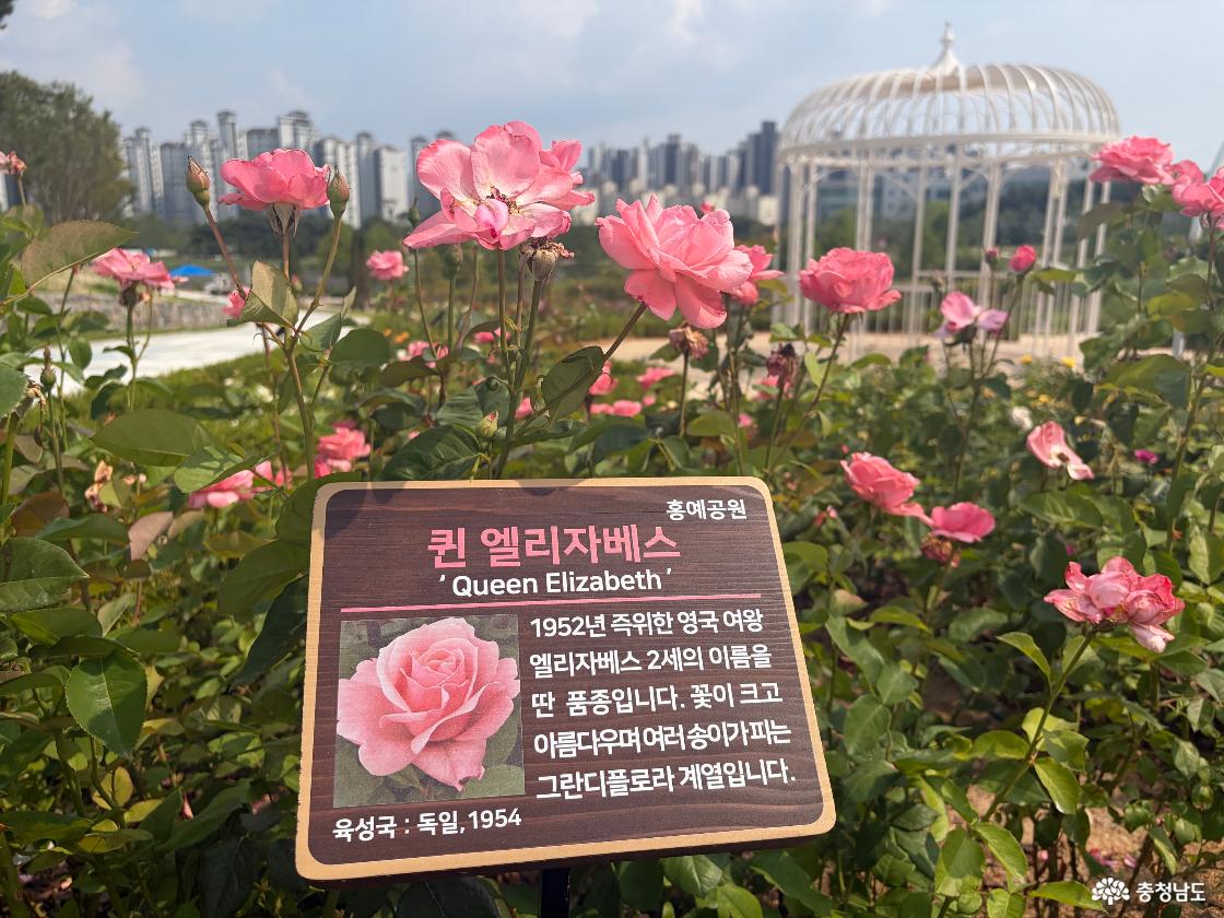 홍예힐스 잔디마당 슬라이드 이미지