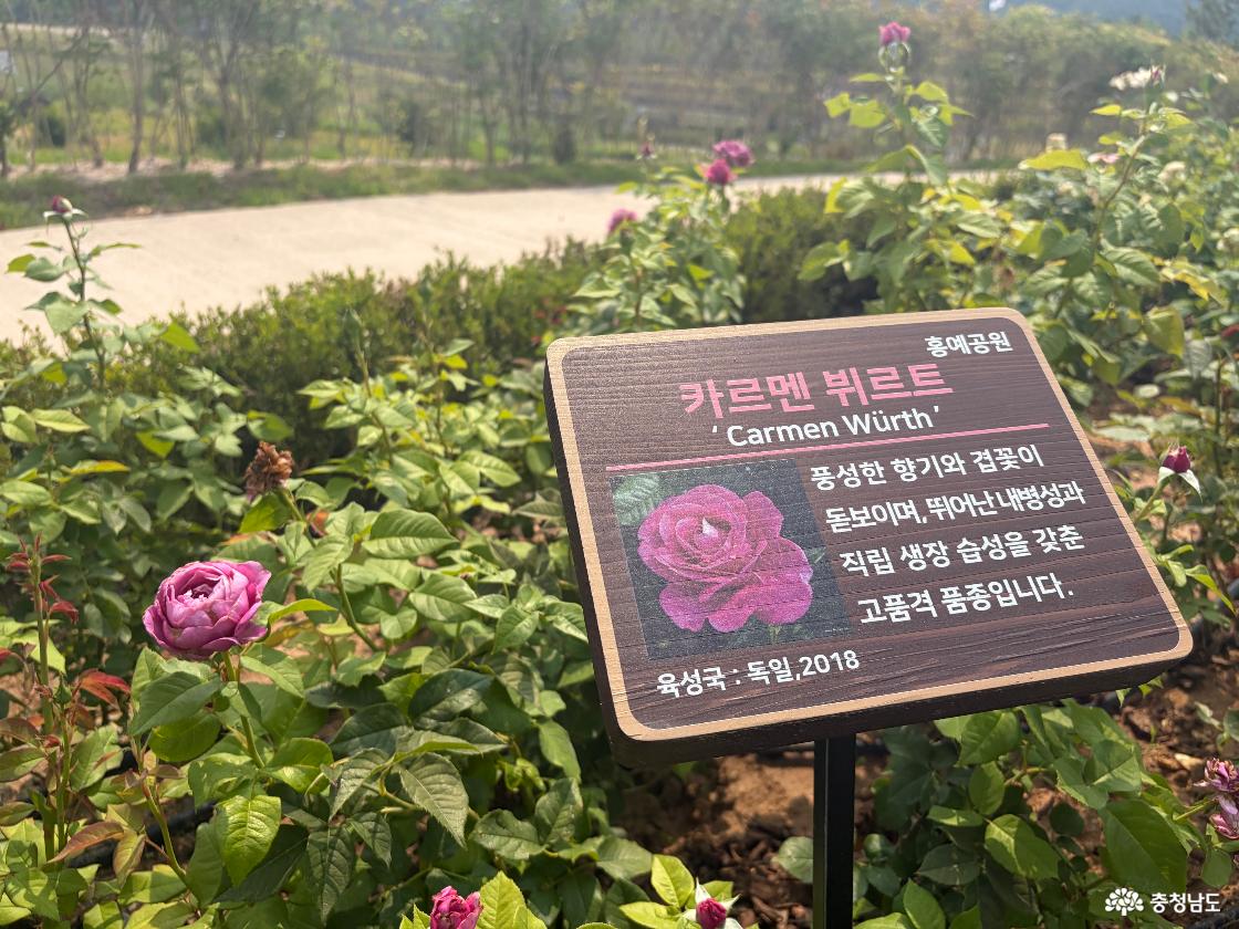 홍예힐스 잔디마당 슬라이드 이미지