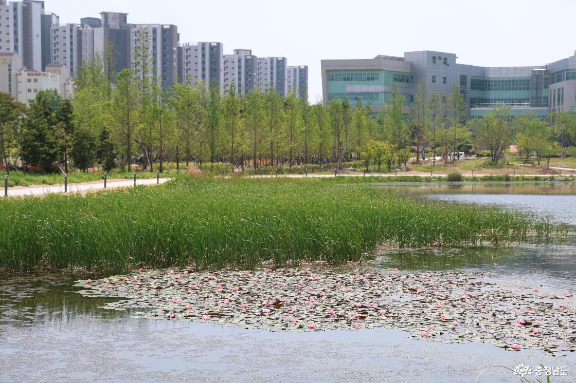 홍예힐스 잔디마당 슬라이드 이미지