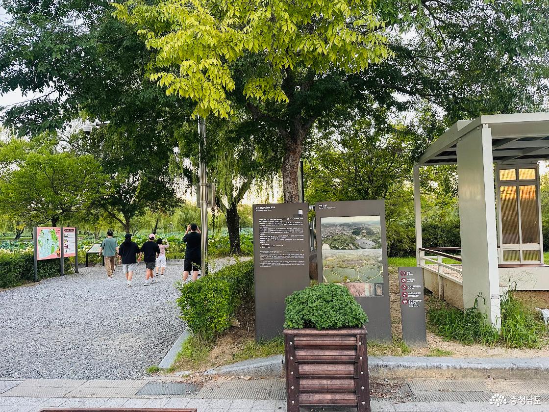 궁남지 모습