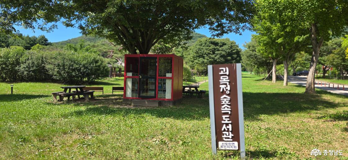 괴목정 숲속 도서관 모습
