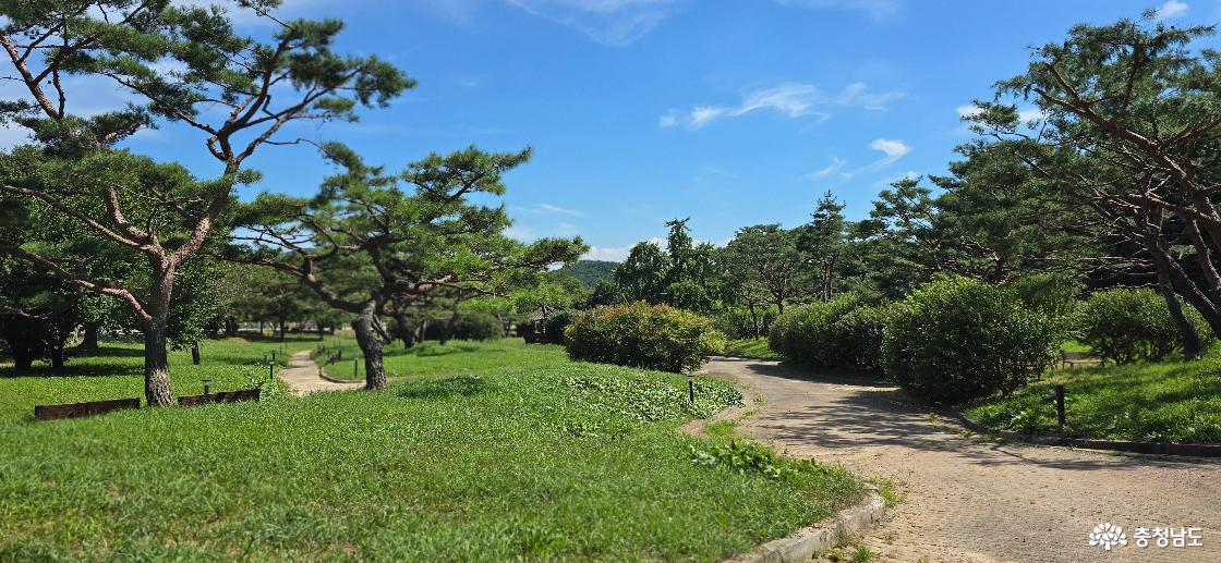 괴목정 산책길 모습