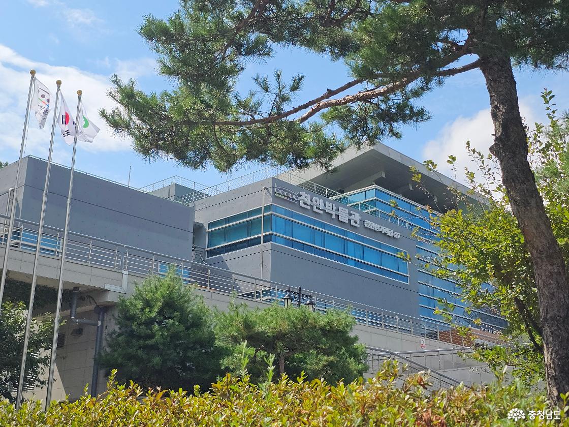 천안박물관