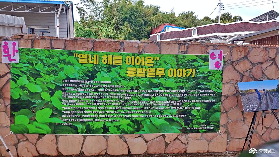 열 네번째 열무축제 이야기