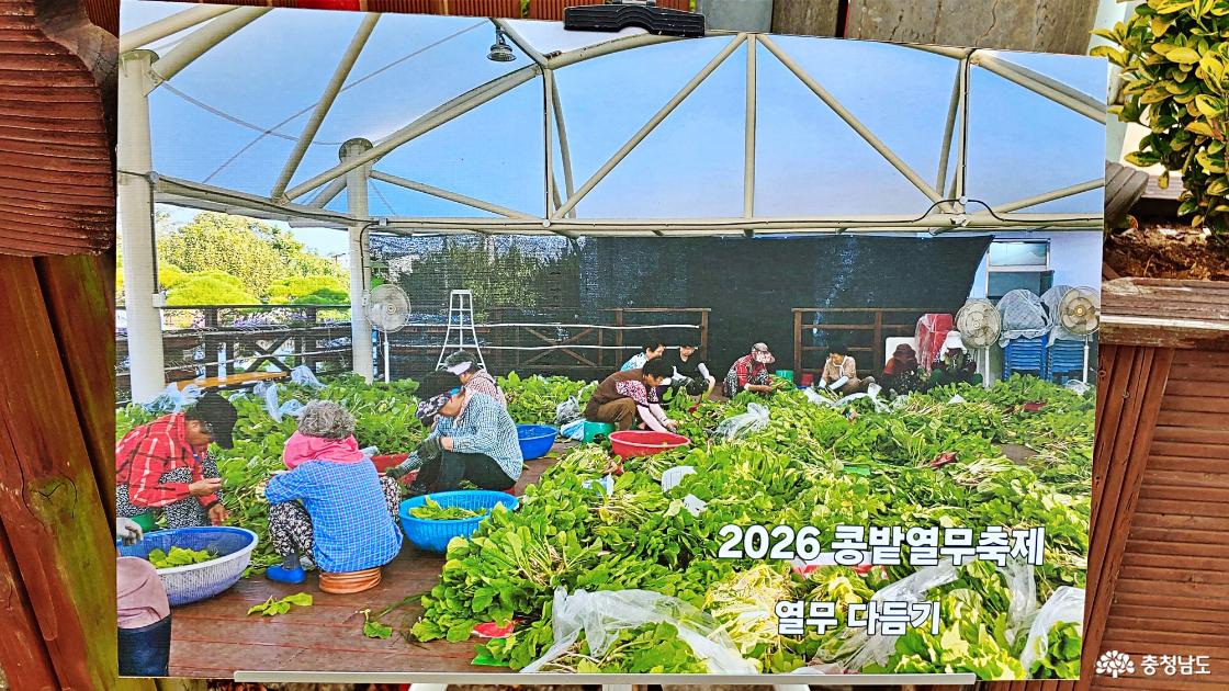 2026년 열무축제 준비 사진