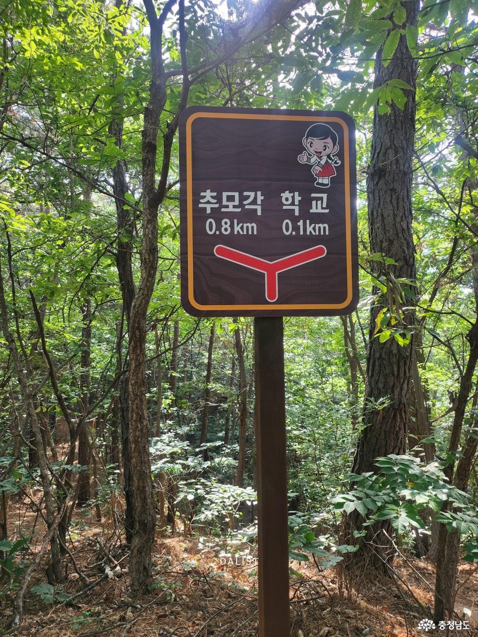 매봉산 등산길 이정표1