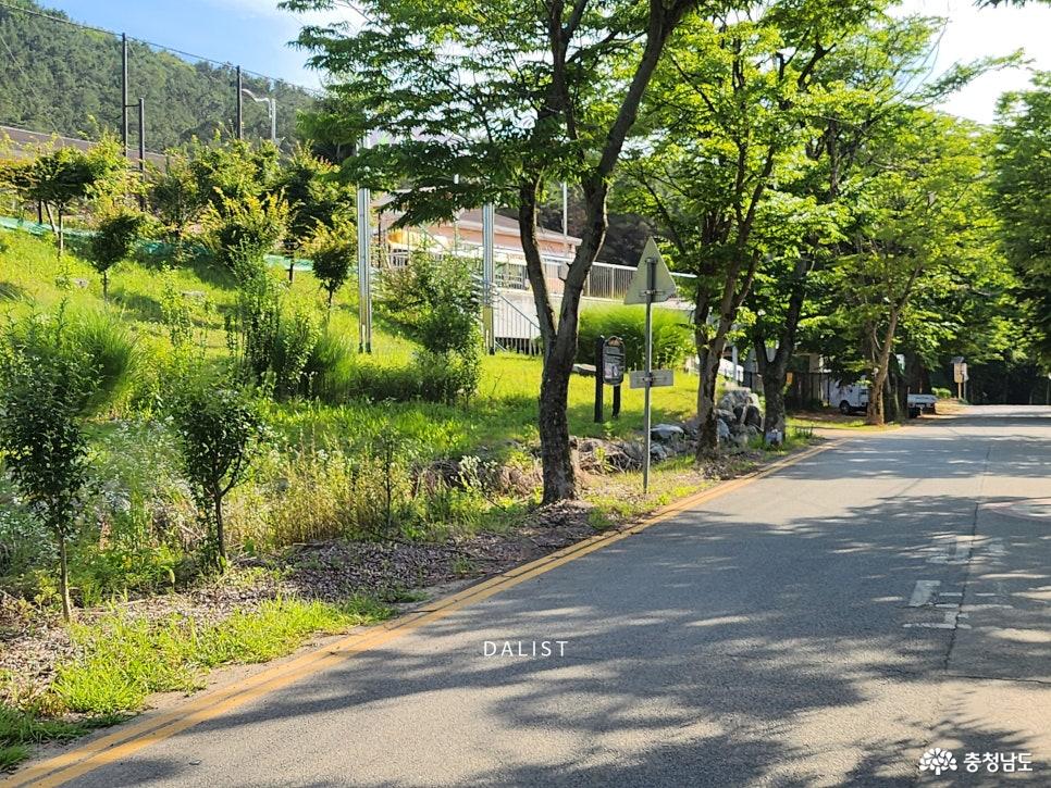 유관순길
