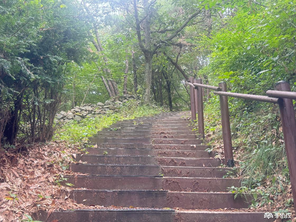 청양 가볼만한곳 우산성 청룡정 우산공원 트레킹 후기