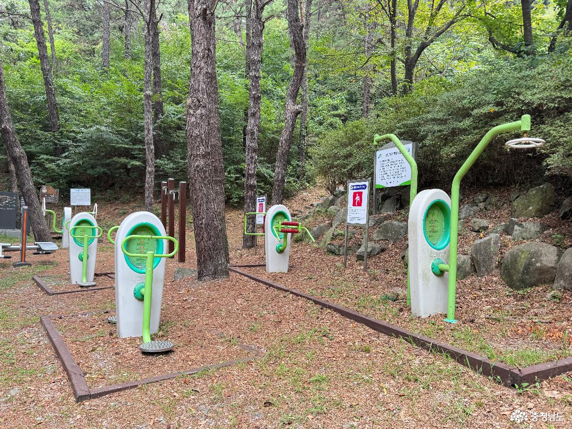 청양 가볼만한곳 우산성 청룡정 우산공원 트레킹 후기