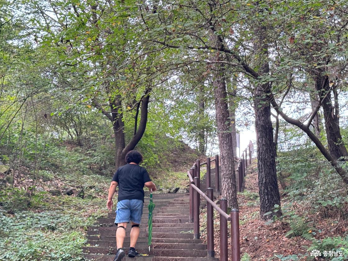 청양 가볼만한곳 우산성 청룡정 우산공원 트레킹 후기
