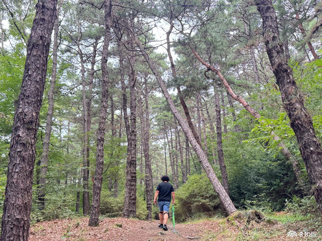 청양 가볼만한곳 우산성 청룡정 우산공원 트레킹 후기