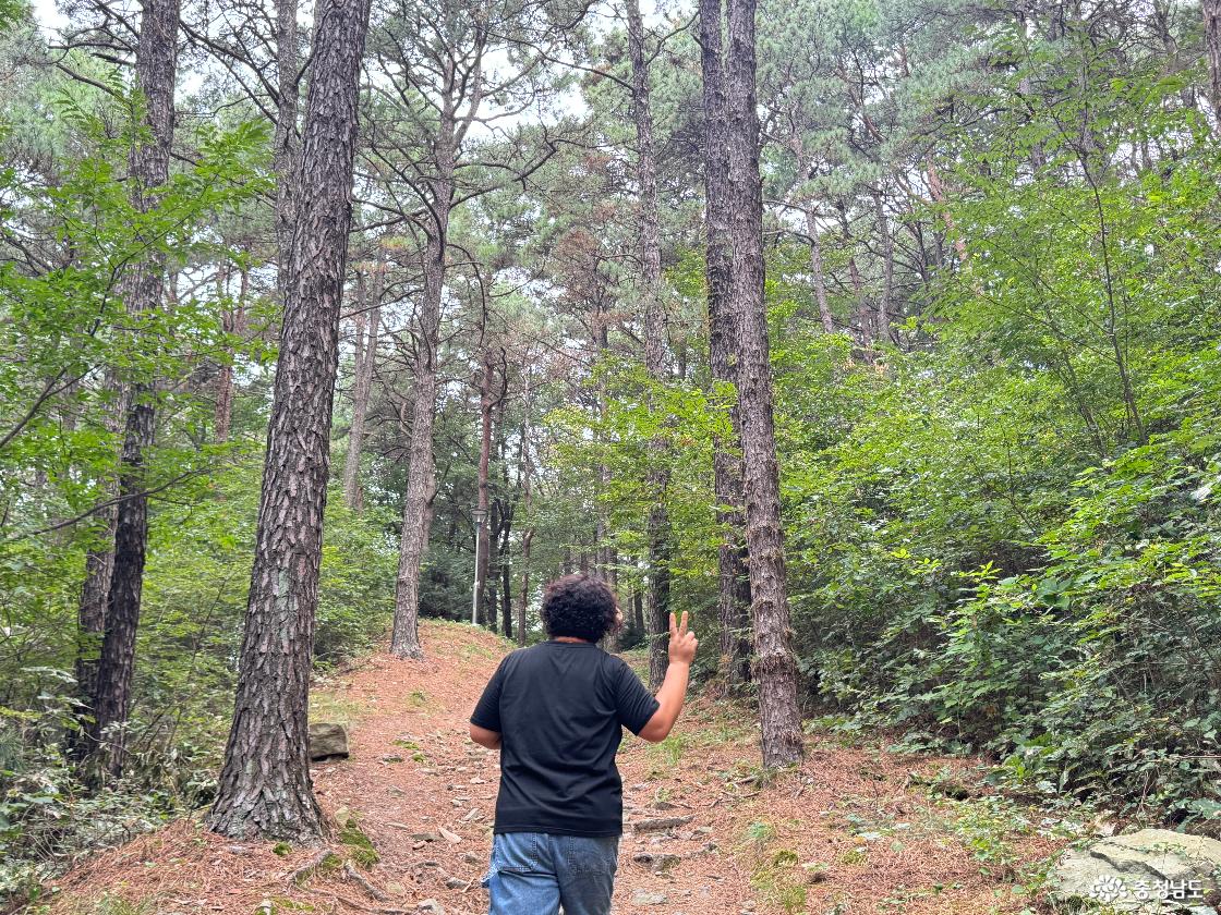 청양 가볼만한곳 우산성 청룡정 우산공원 트레킹 후기
