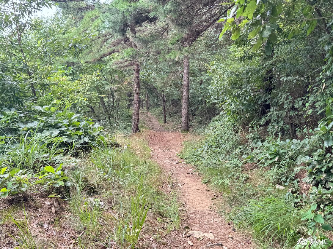 청양 가볼만한곳 우산성 청룡정 우산공원 트레킹 후기