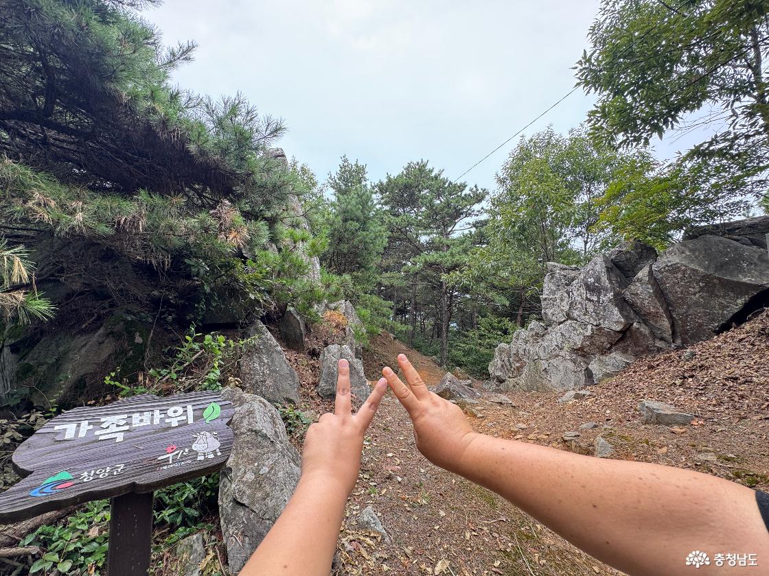 청양 가볼만한곳 우산성 청룡정 우산공원 트레킹 후기
