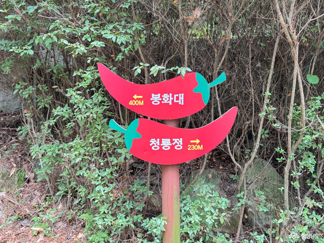 청양 가볼만한곳 우산성 청룡정 우산공원 트레킹 후기