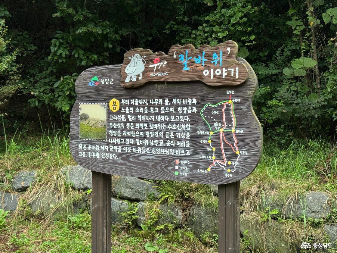 청양 가볼만한곳 우산성 청룡정 우산공원 트레킹 후기