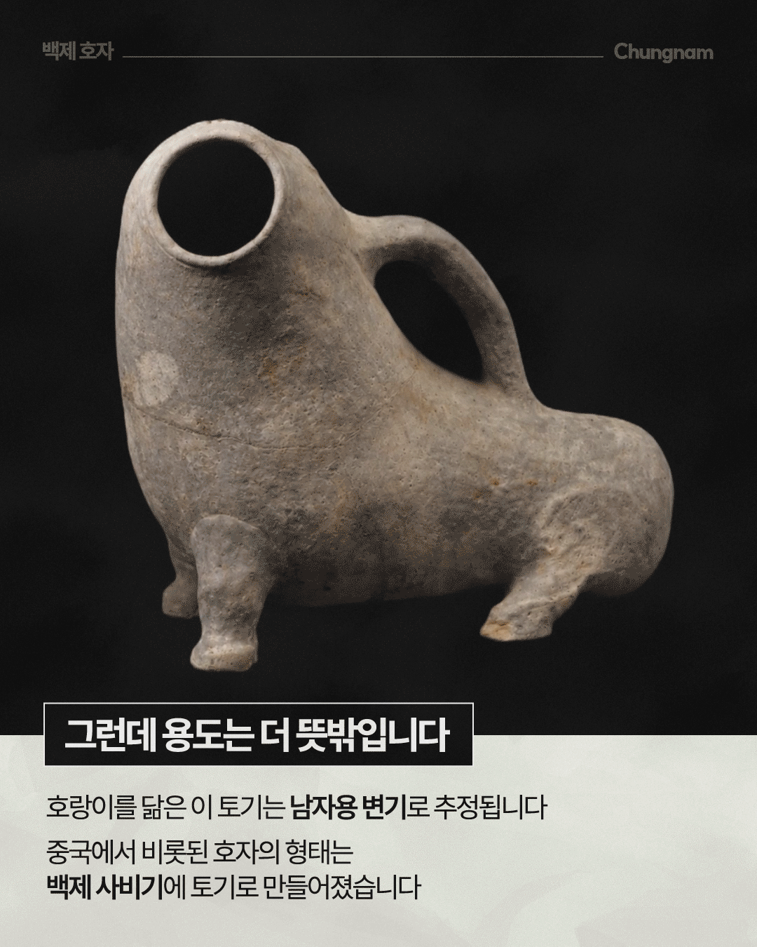 검은 배경 중앙에 회갈색 호자 전체 모습이 보이며, 앞쪽의 둥근 구멍과 등 부분의 손잡이, 네 다리를 갖춘 둥글고 묵직한 동물형 몸체가 자세히 드러나 있습니다. 하단에는 &lsquo;자세히 보면 더 재밌습니다&rsquo;라는 제목과 함께 눈동자와 콧구멍은 점으로, 수염과 눈썹은 선으로 표현했고 등에 들어 옮길 수 있는 손잡이가 달려 있다는 설명이 적혀 있습니다.