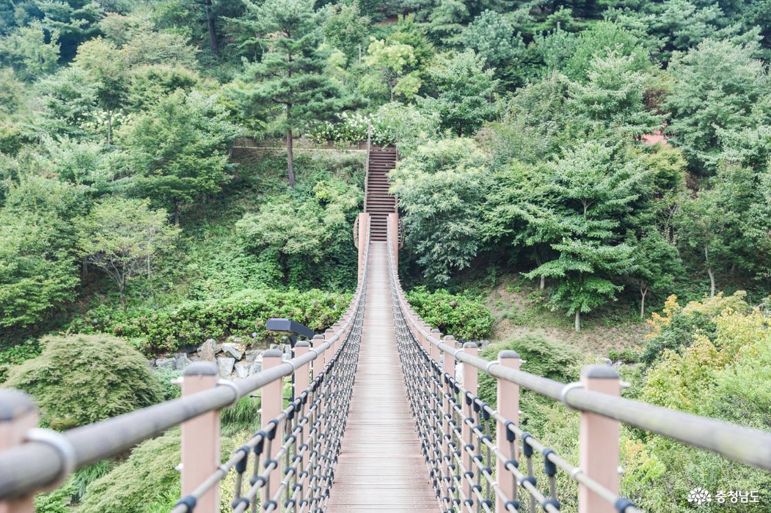 출렁다리