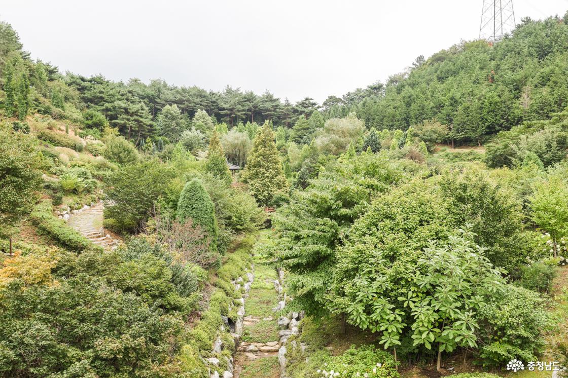 한반도원,암석원