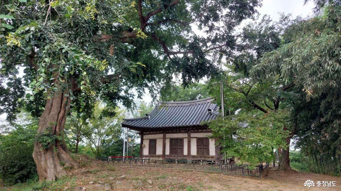 임리정 모습