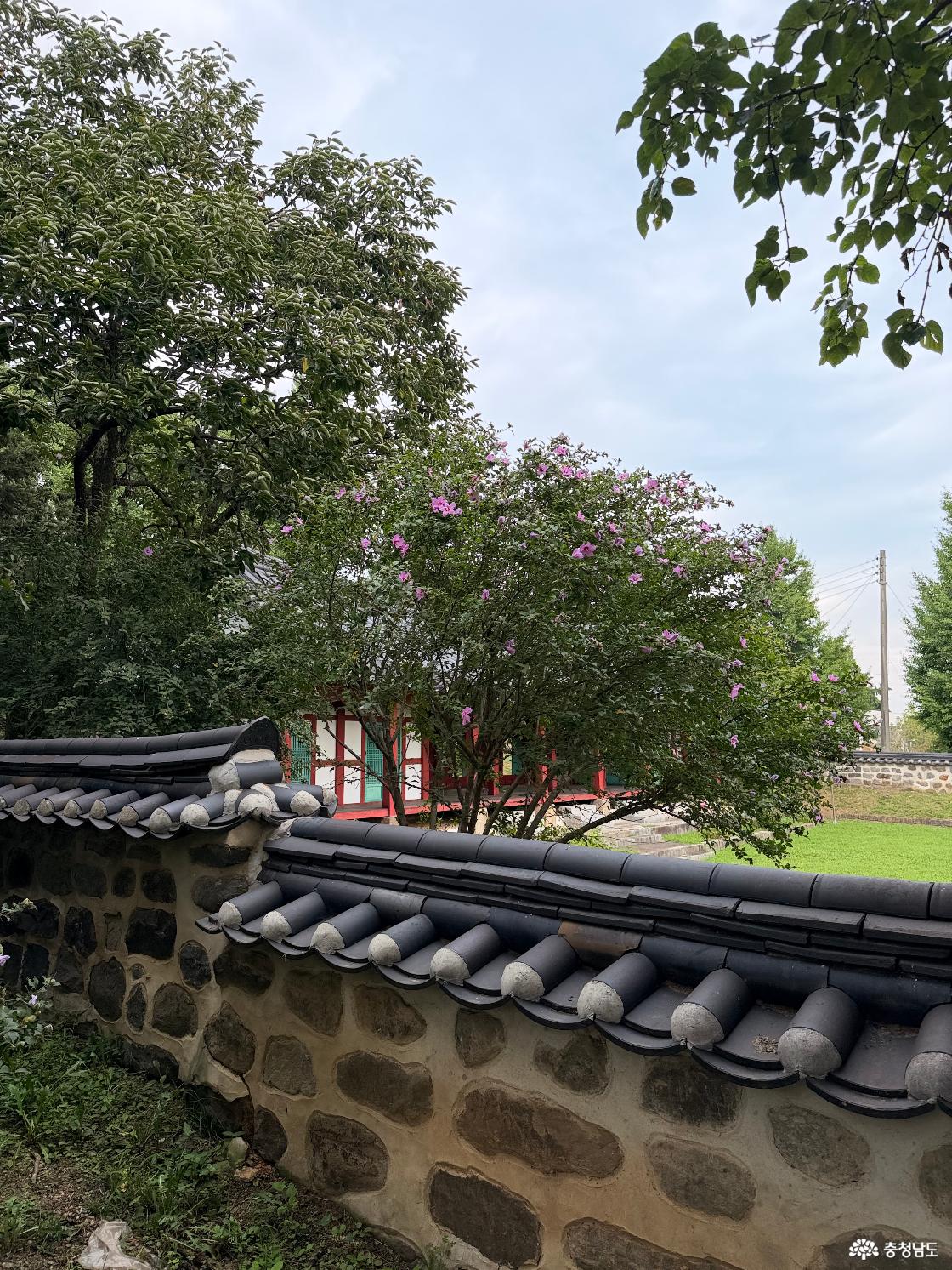 담벼락1