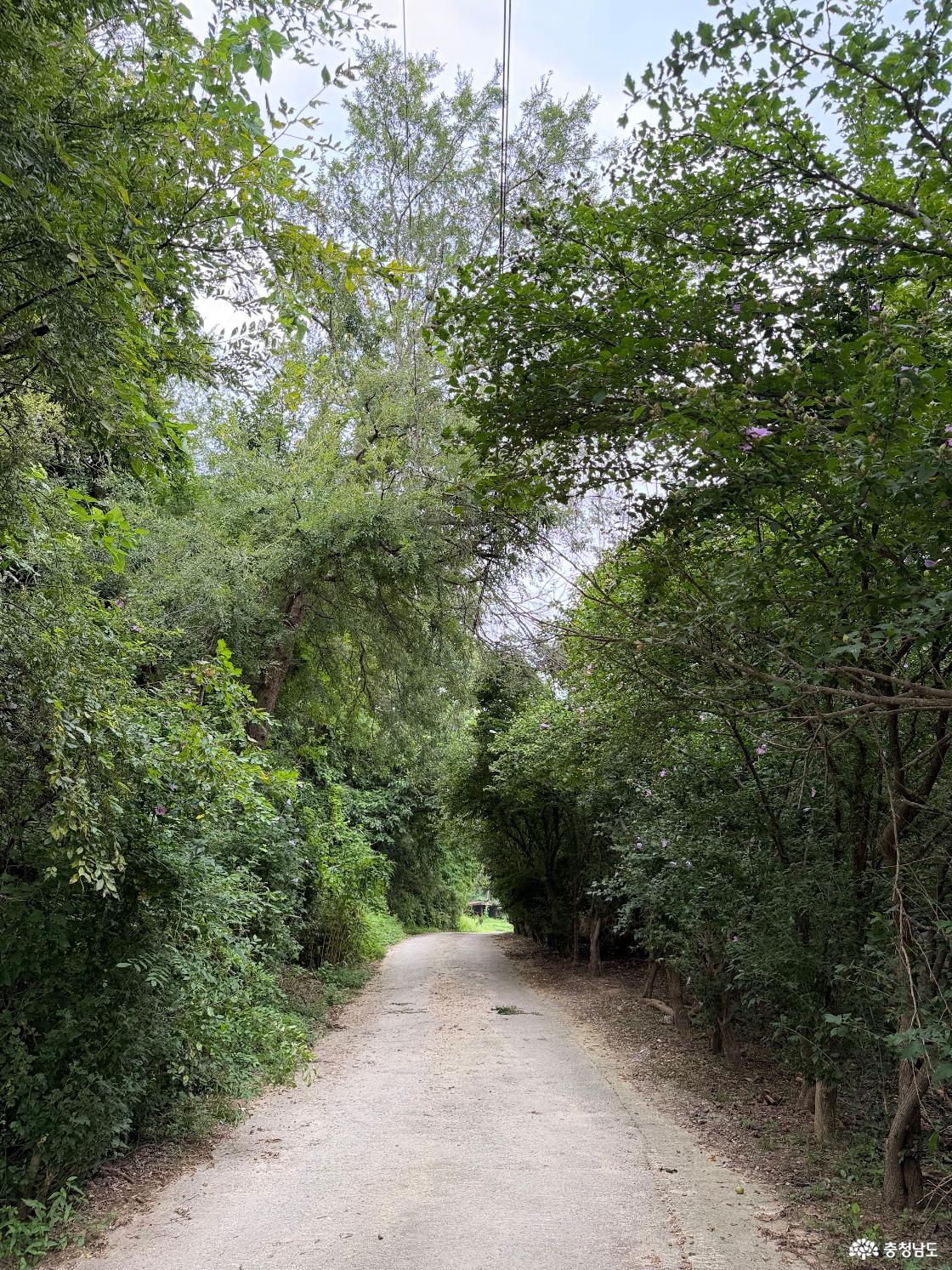 산책로