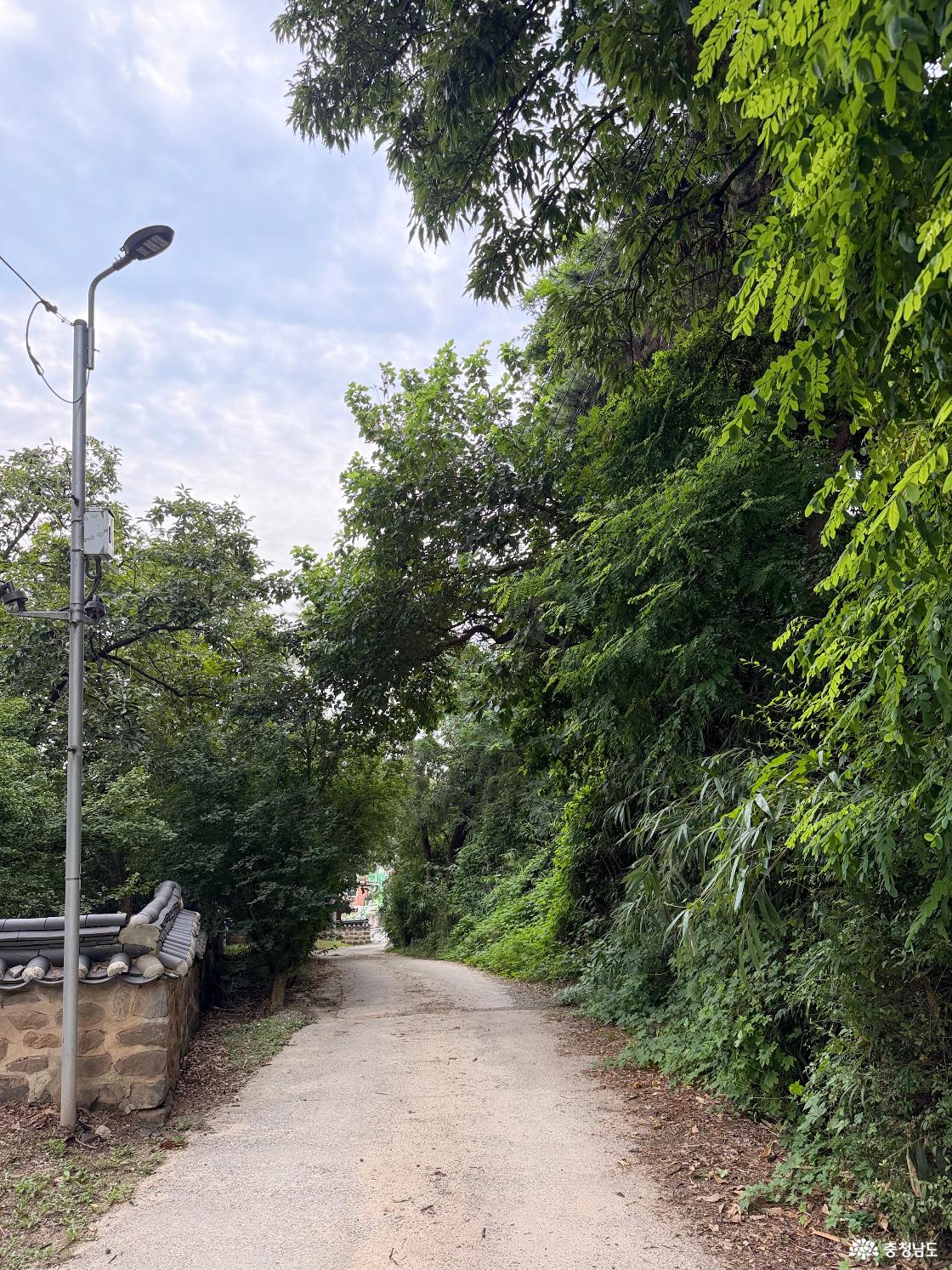 산책로1
