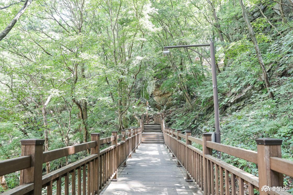 산책로