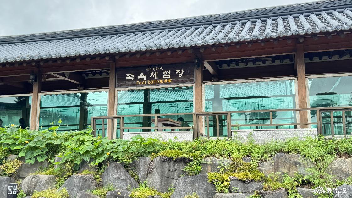 공주 가볼만한곳 공주 한옥마을에서 즐긴 족욕과 역사 여행