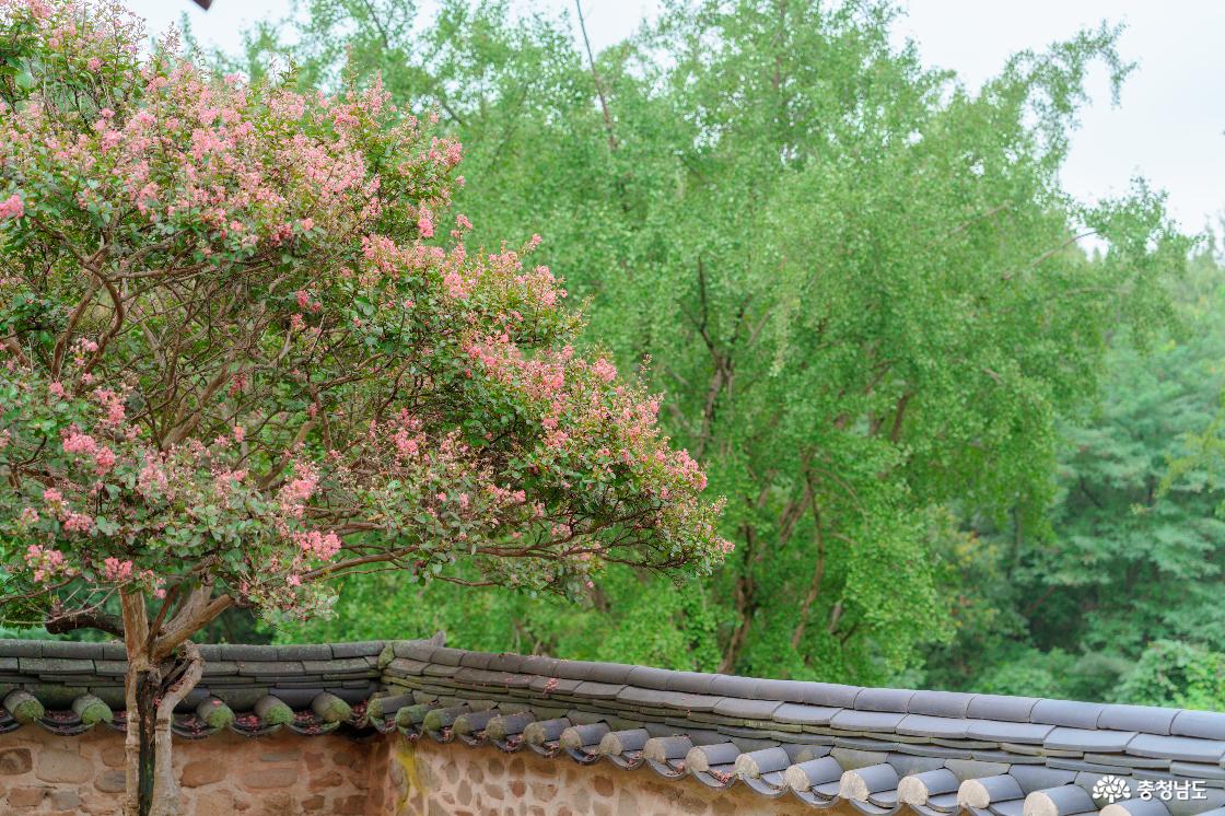 덕산향교 전경